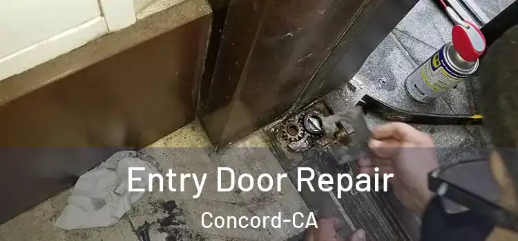  Entry Door Repair Concord-CA