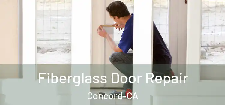  Fiberglass Door Repair Concord-CA