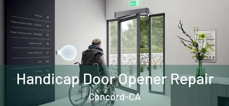  Handicap Door Opener Repair Concord-CA