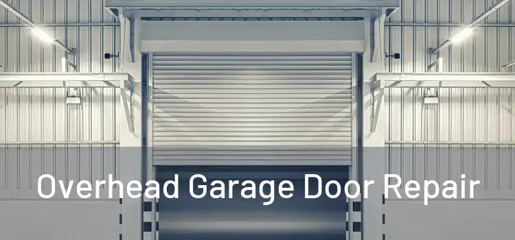  Overhead Garage Door Repair 